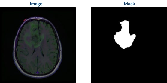 Figure 3: An original image and a mask example