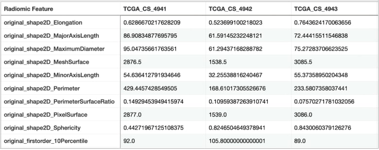 Figure 4: A sample of a table with extracted radiomic features